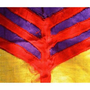 [DAMAGED] Yeah Yeah Yeahs - Show Your Bones