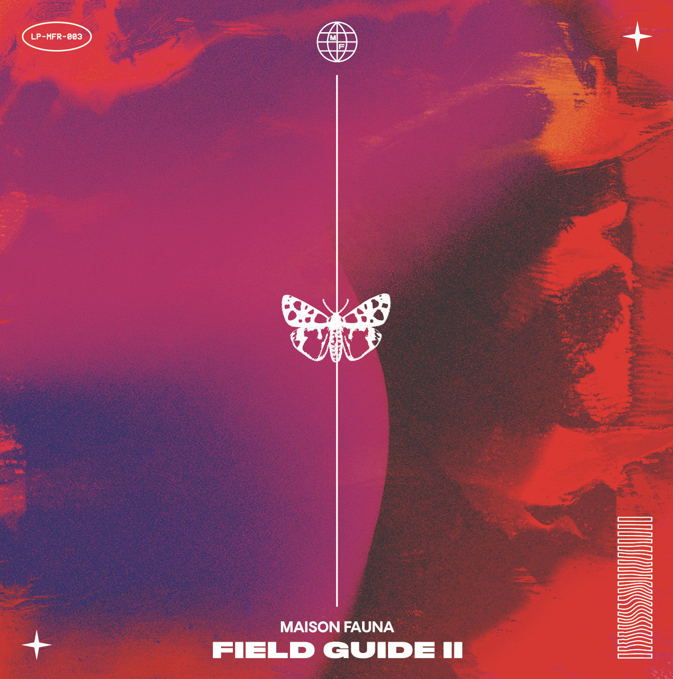 Various Artists - Maison Fauna Field Guide II