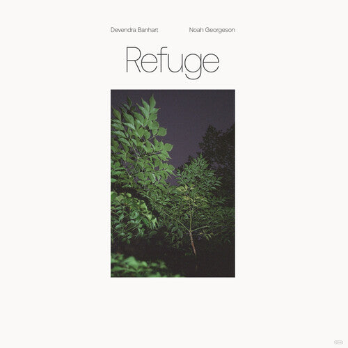[DAMAGED] Devendra Banhart - Refuge [Blue Seaglass Wave Vinyl]