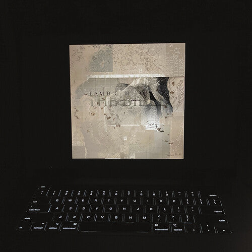 Lambchop - The Bible [Indie-Exclusive Black & Yellow Marble Vinyl]