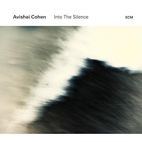Avishai Cohen - Into The Silence