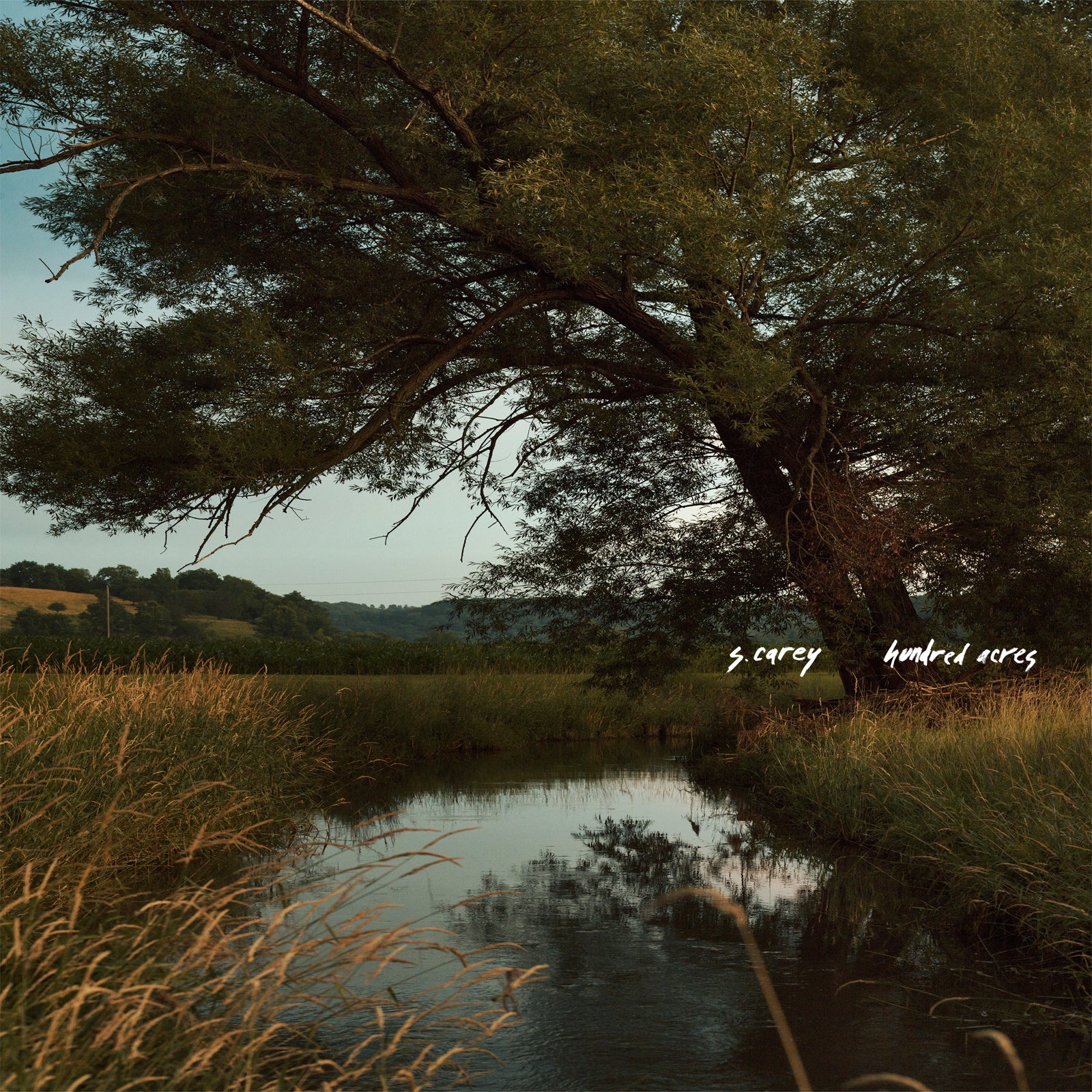 S. Carey - Hundred Acres [Translucent Green Vinyl]