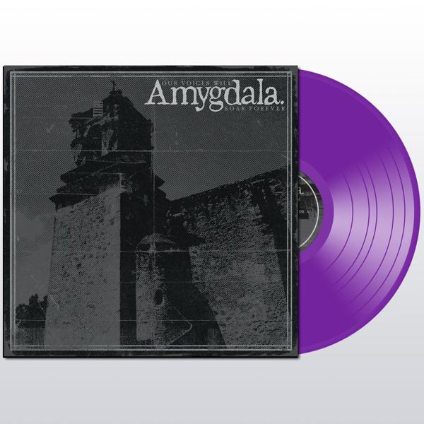 Amygdala - Our Voices Will Soar Forever