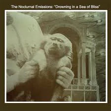 Nocturnal Emissions - Drowning In A Sea Of Bliss