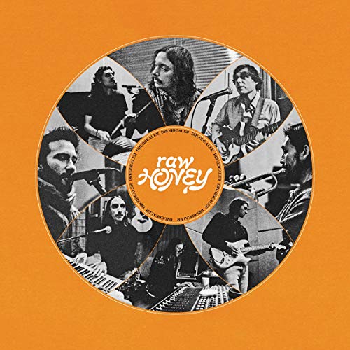 Drugdealer - Raw Honey