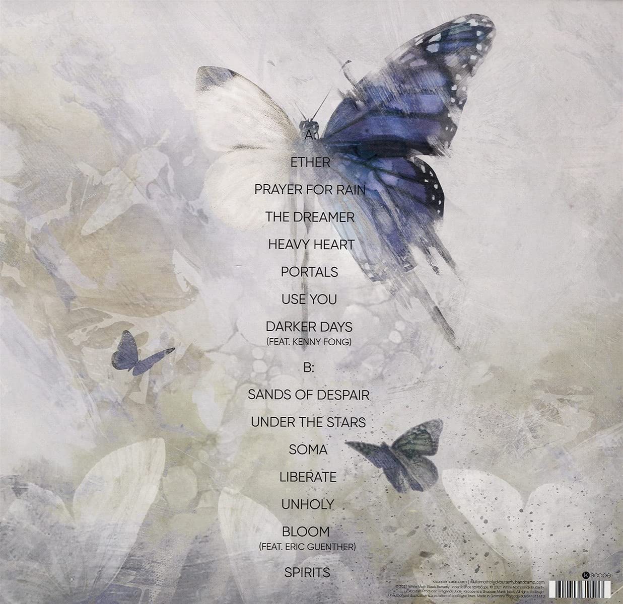 White Moth Black Butterfly - The Cost of Dreaming