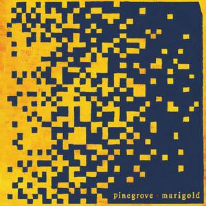 Pinegrove - Marigold [Yellow Vinyl]