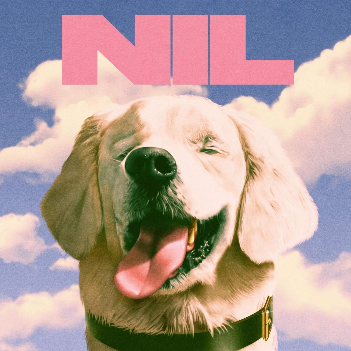 Dirty Nil - Fuck Art [Black Vinyl]