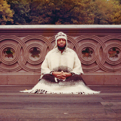Laraaji - Segue To Infinity [Box Set]