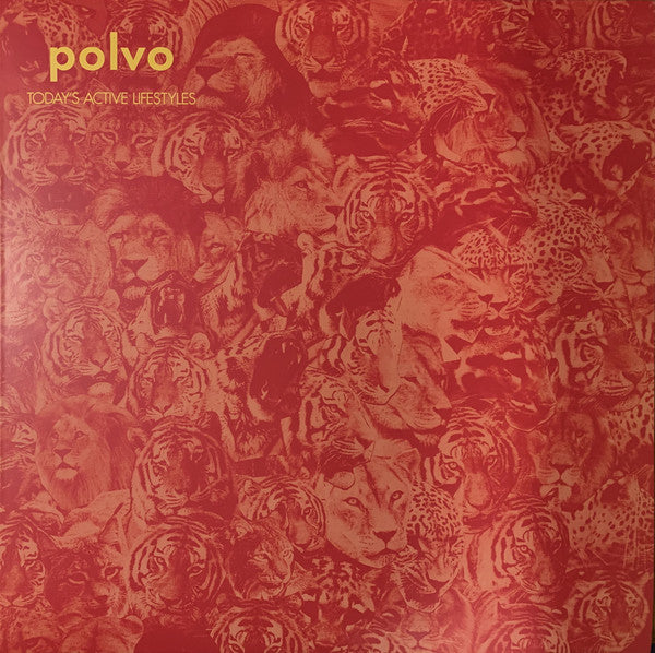 Polvo - Today's Active Lifestyles