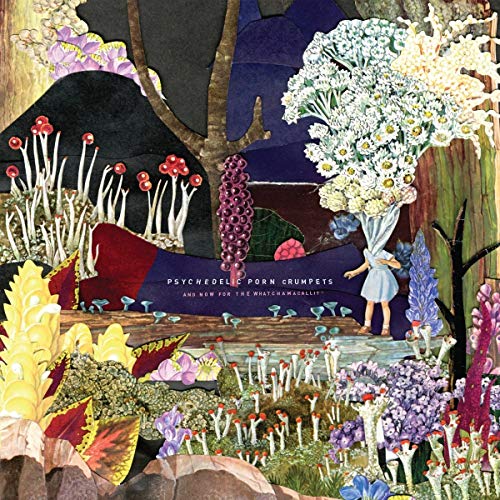 Psychedelic Porn Crumpets - And Now For The Whatchamacallit [Colored Vinyl]