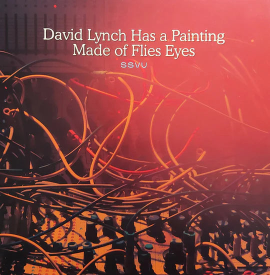 SSVU (Silversun Pickups) - David Lynch Has a Painting Made of Flies Eyes / Suzanne Ciani [7"]