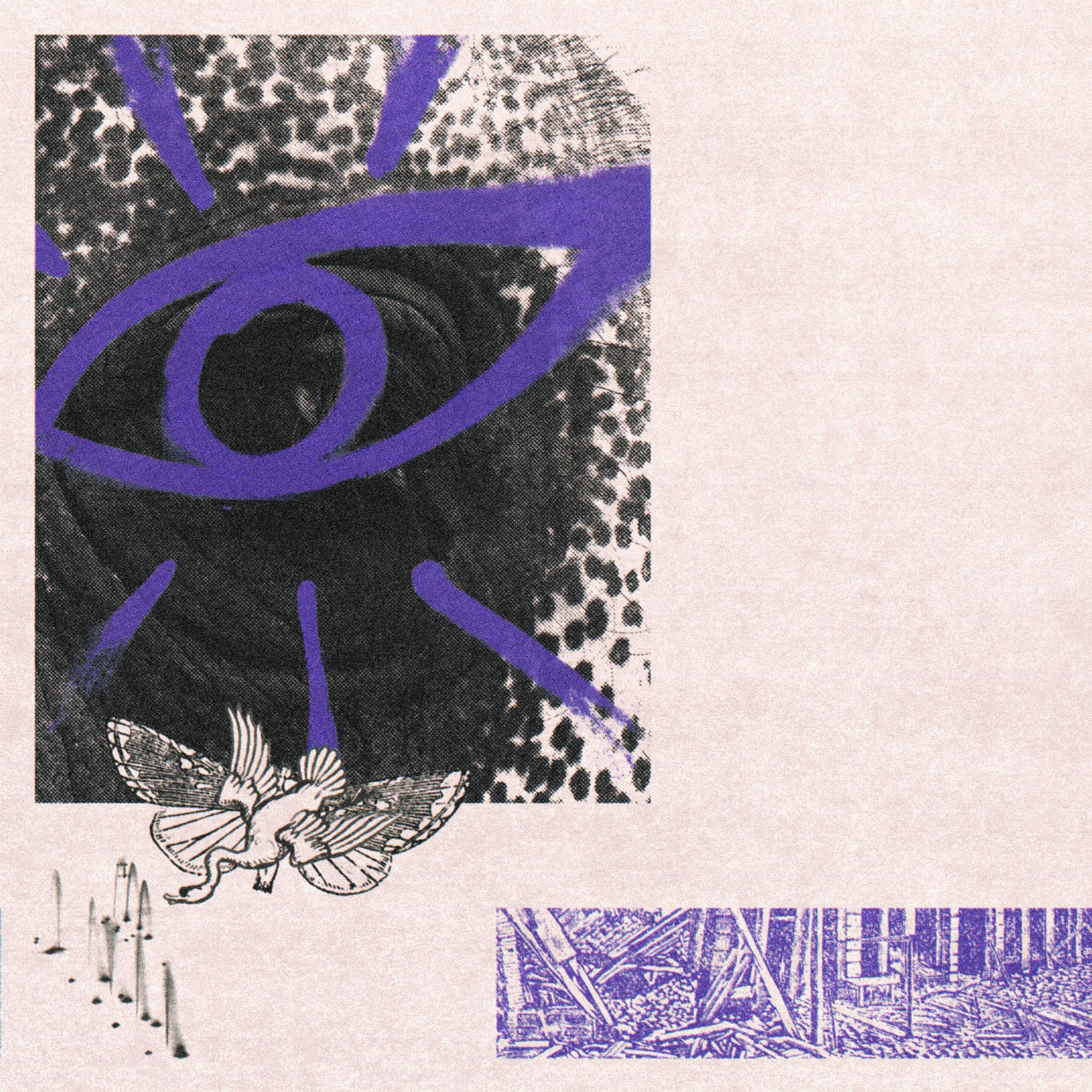 Hippo Campus - LP3 [Indie-Exclusive Clear / Purple Vinyl]