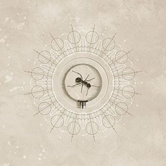 [DAMAGED] Jerry Cantrell - Brighten [12"] [Indie-Exclusive]