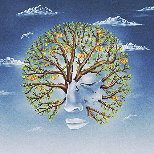 Another Sky - Forget Yourself EP / Life Was Coming in Through The Blinds EP