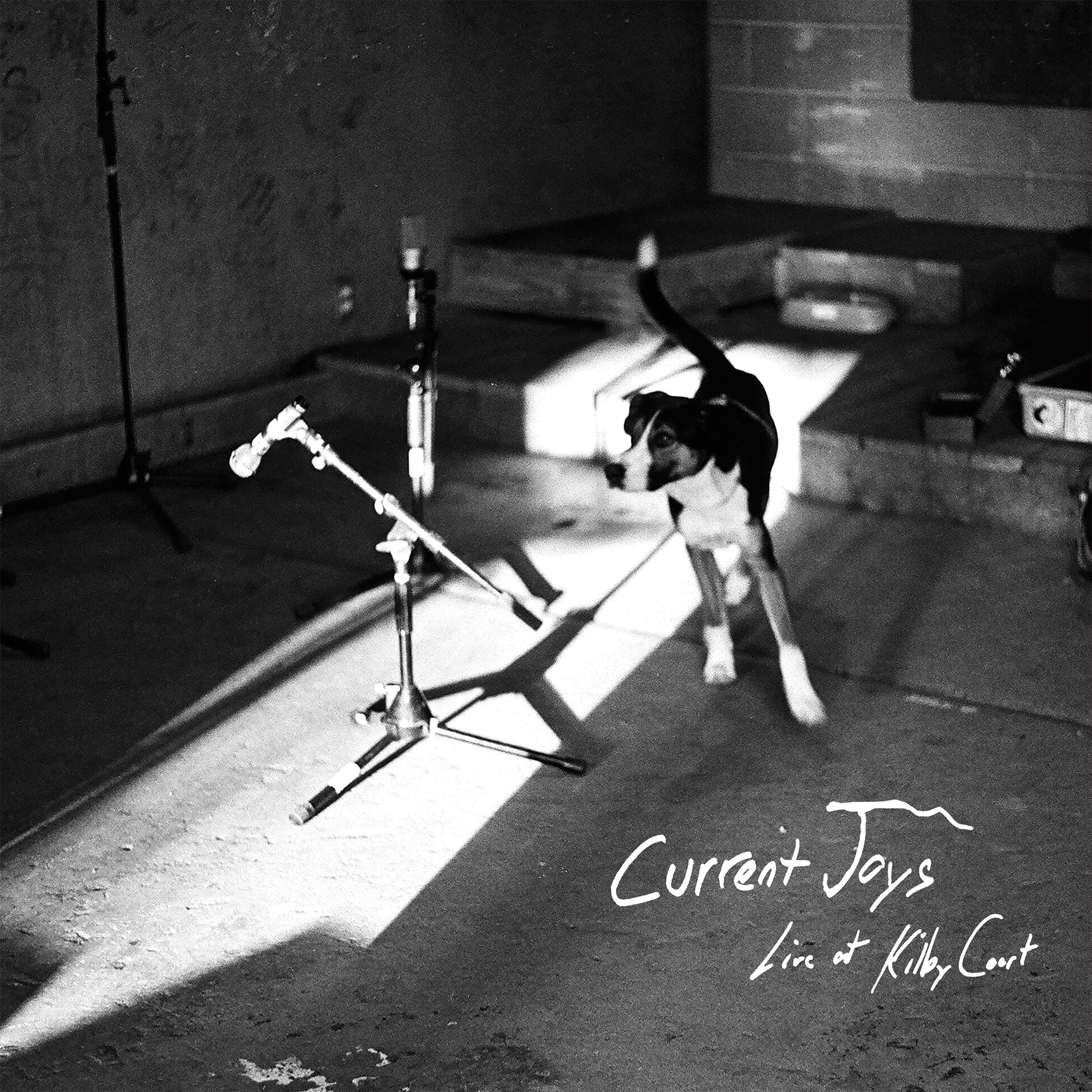 Current Joys - Live at Kilby Court [Black Vinyl]