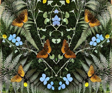 Jean-Michel Blais - Aubades