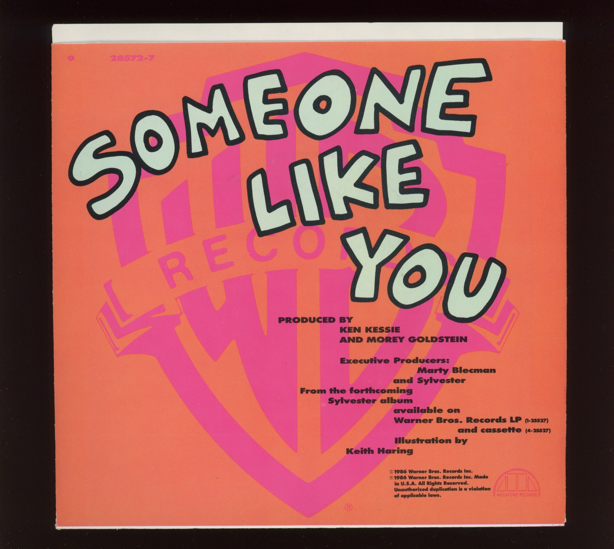 Sylvester - Someone Like You on WB With Keith Haring Picture Sleeve