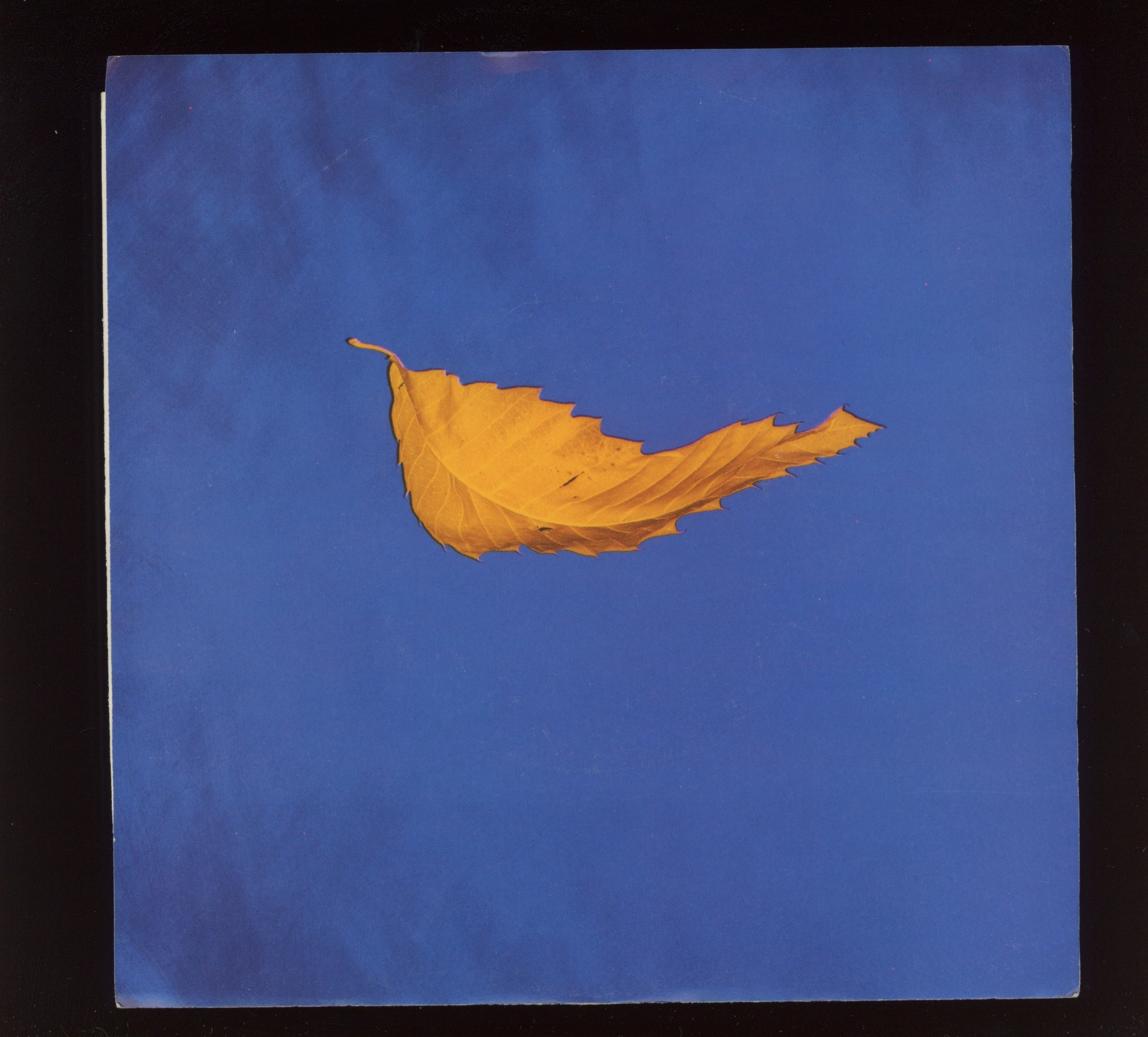New Order - True Faith / 1963 on Qwest With Picture Sleeve