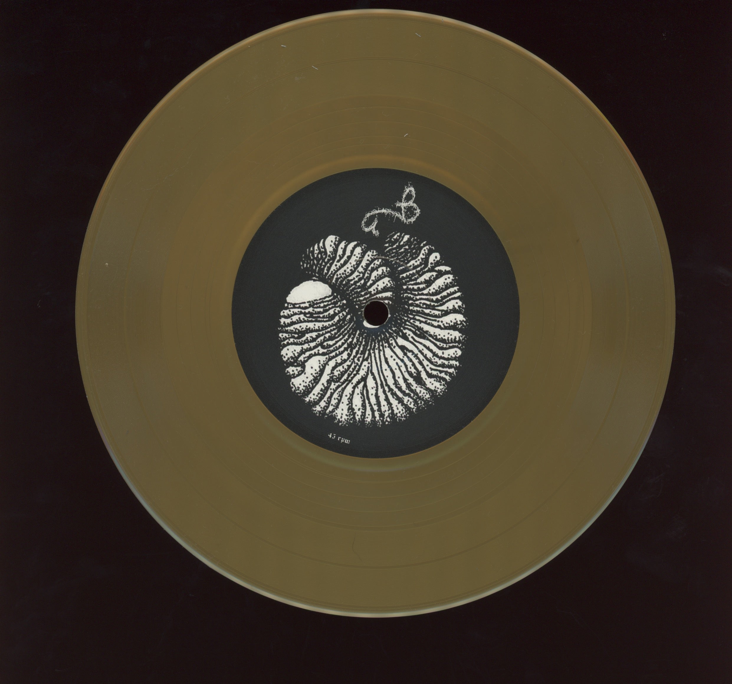 Full Of Hell - Amber Mote In The Black Vault on Closed Casket Activities Gold Metallic 7" Reissue