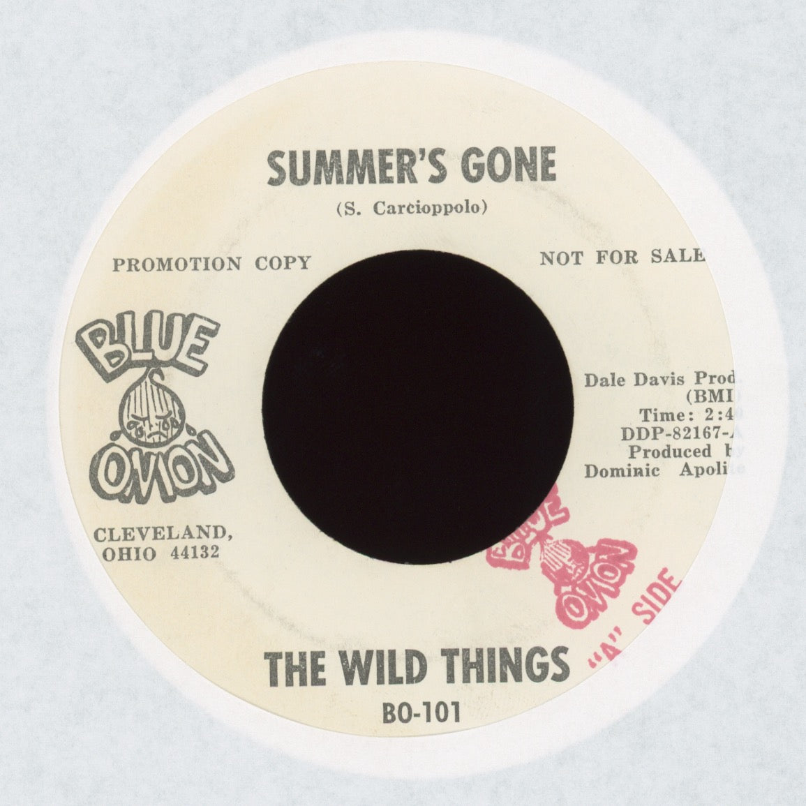 The Wild Things - Summer's Gone on Blue Onion Promo