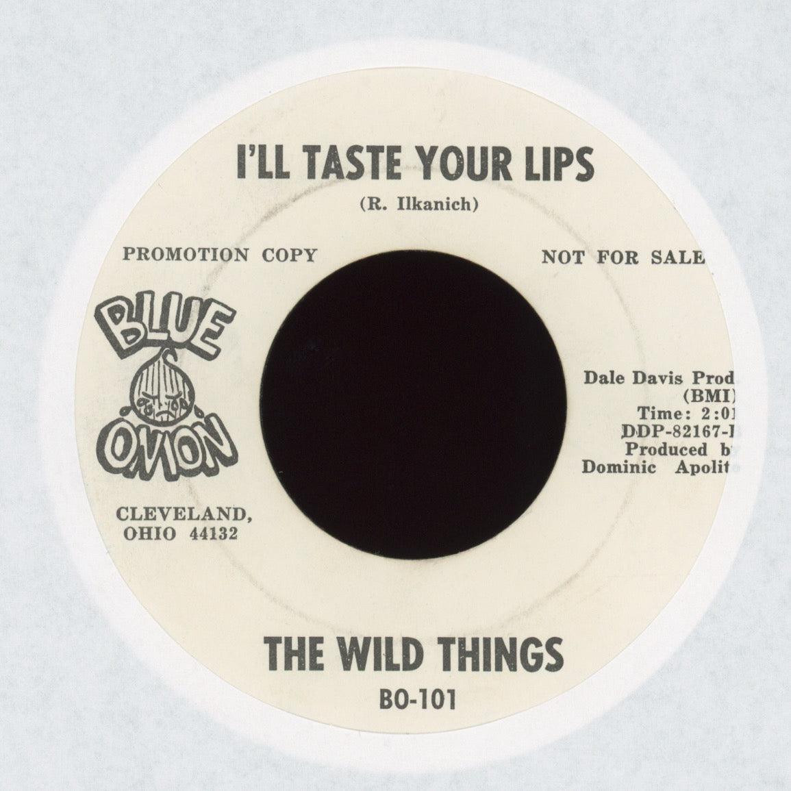 The Wild Things - Summer's Gone on Blue Onion Promo