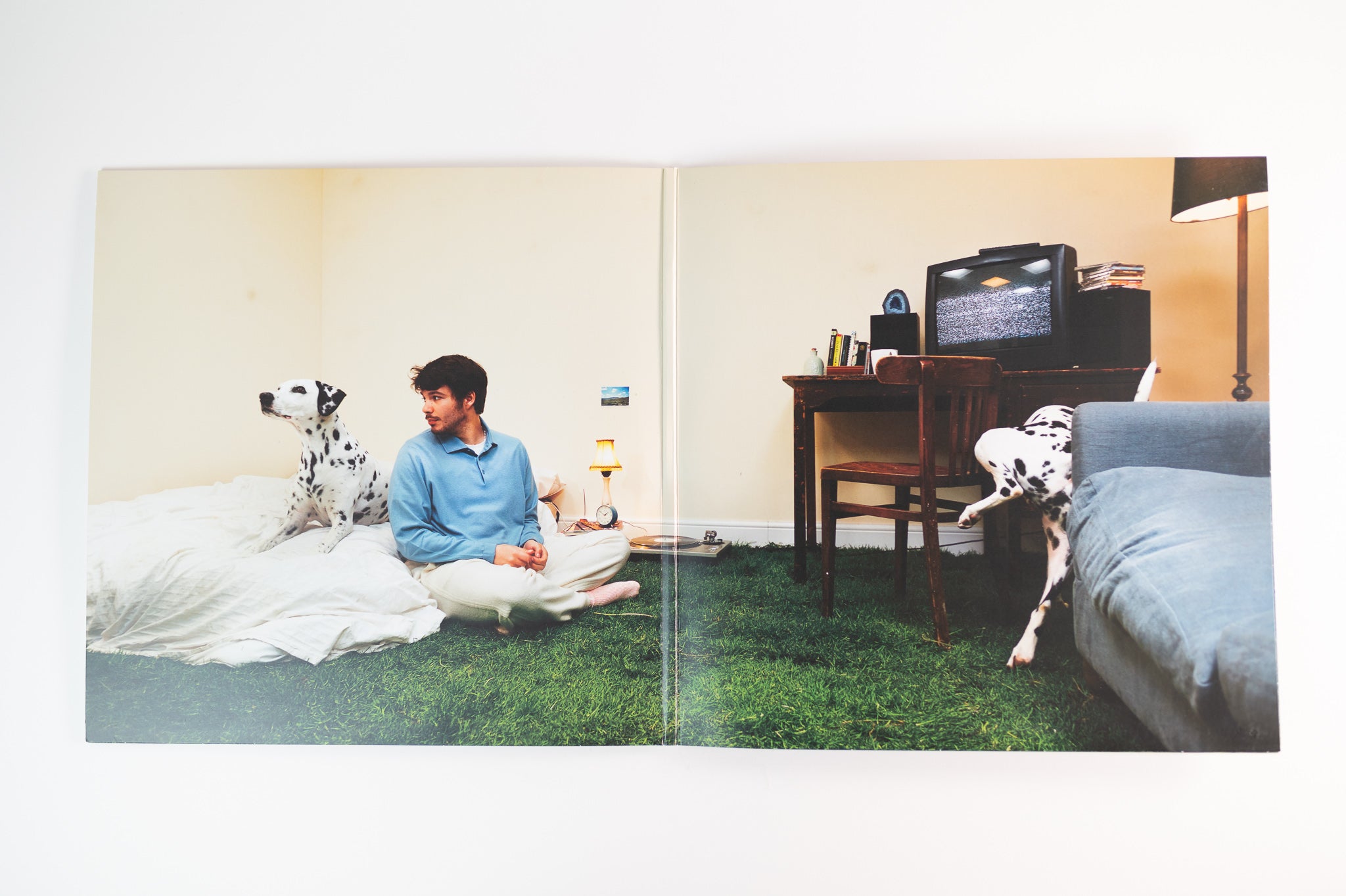 Rex Orange County - Who Cares? Limited LP | Urban Outfitters