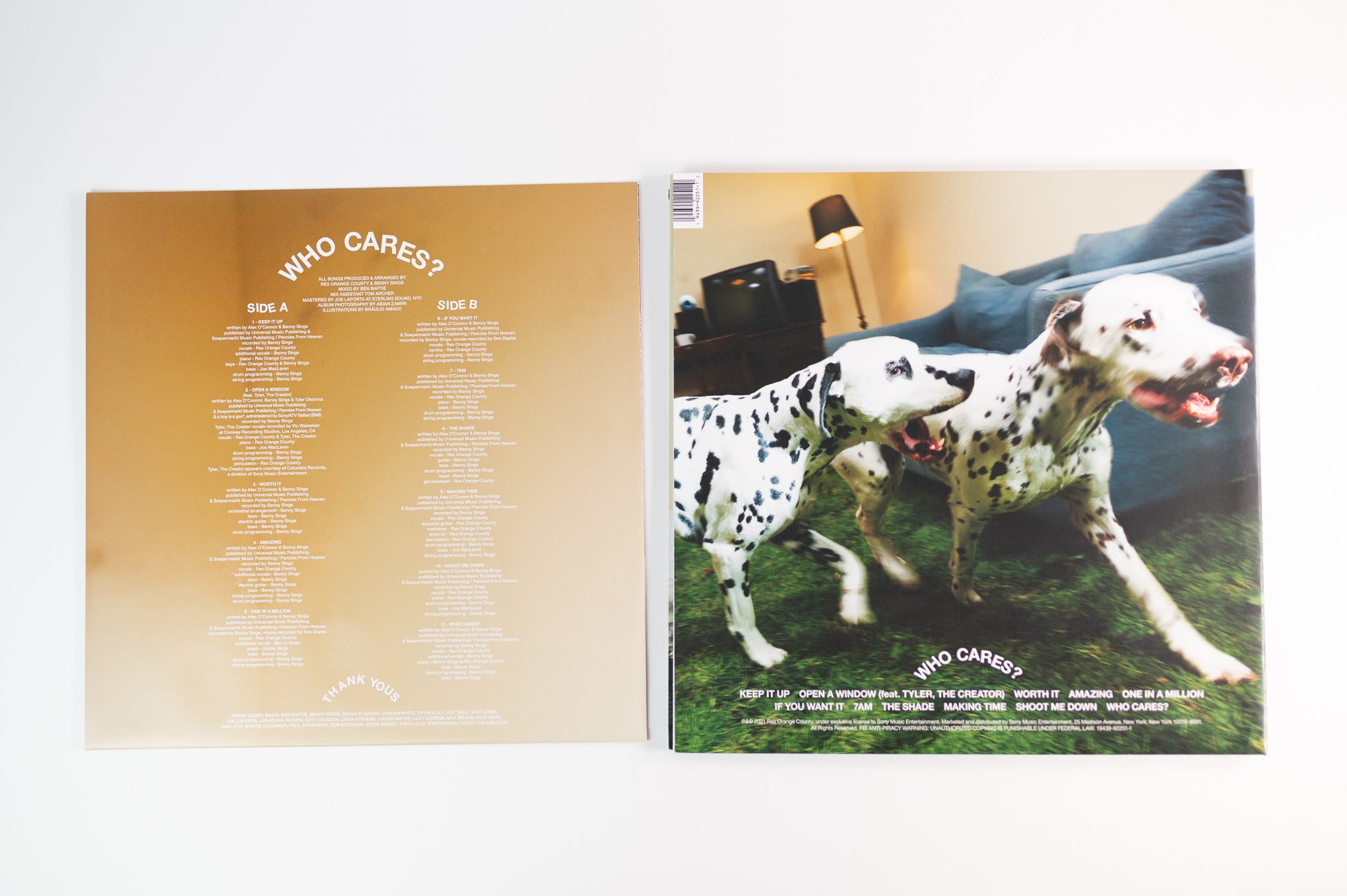 Rex Orange County - Who Cares? Limited LP | Urban Outfitters
