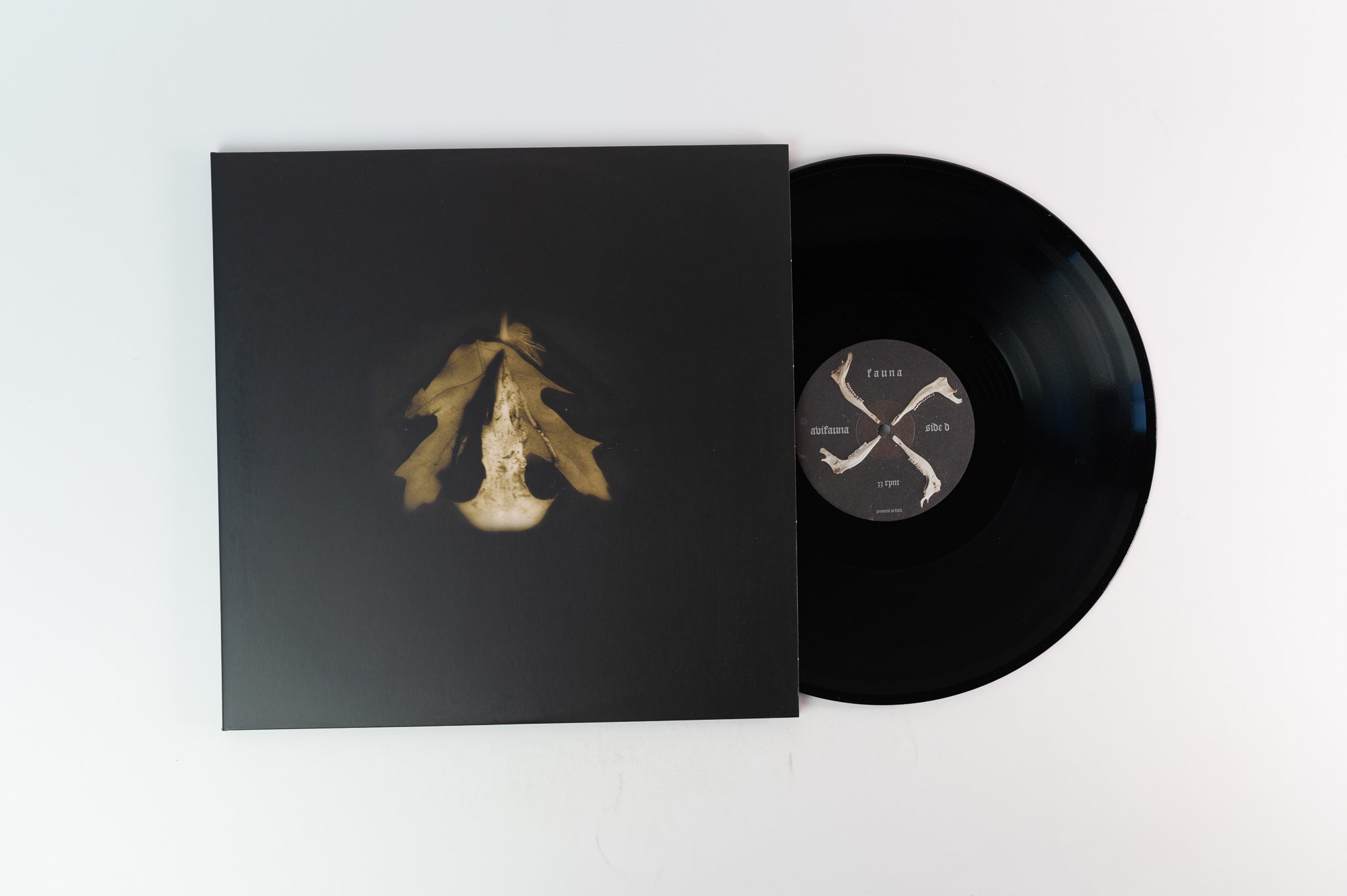 Fauna - Avifauna on Pesanta