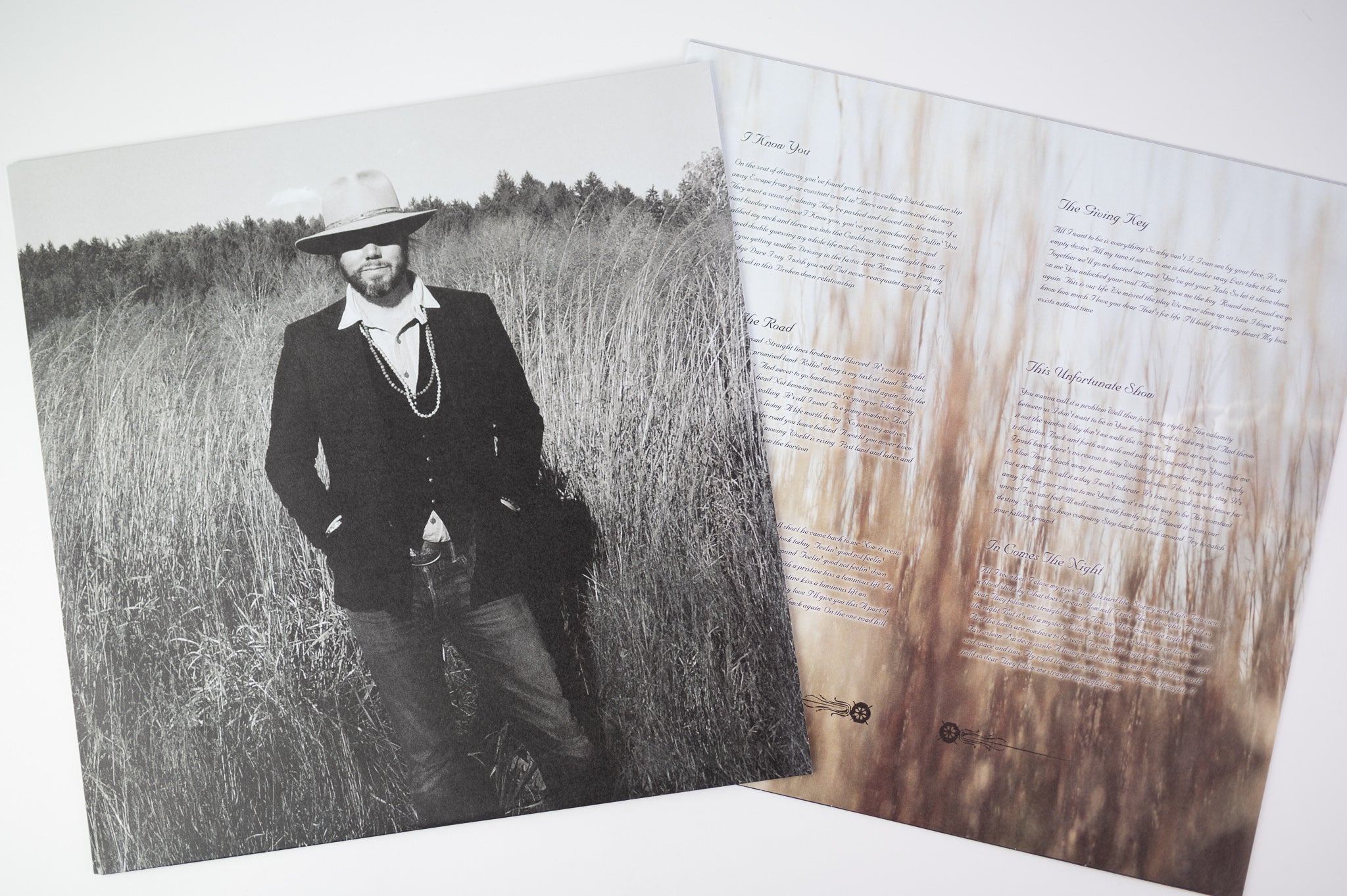 Rich Robinson - The Ceaseless Sight on The End Records - Colored Vinyl