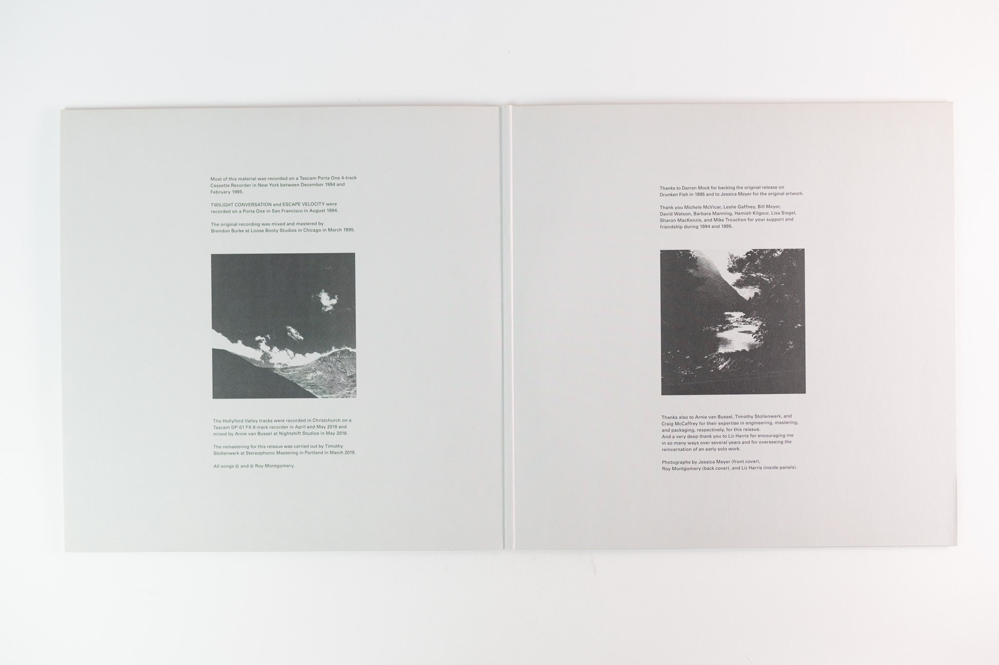 Roy Montgomery - Scenes From The South Island on Yellow Electric Reissue