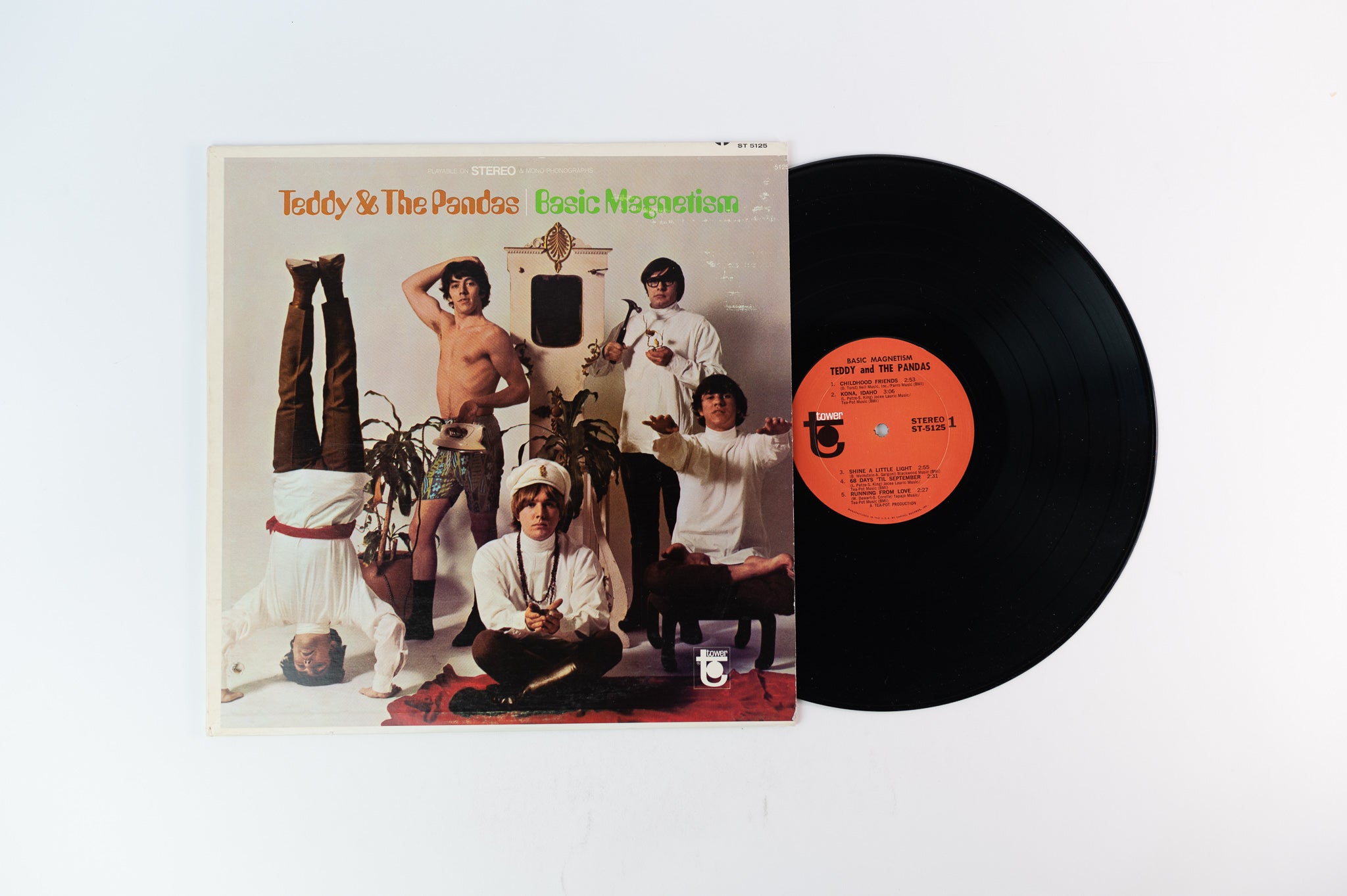Teddy The Pandas - Basic Magnetism on Tower Stereo
