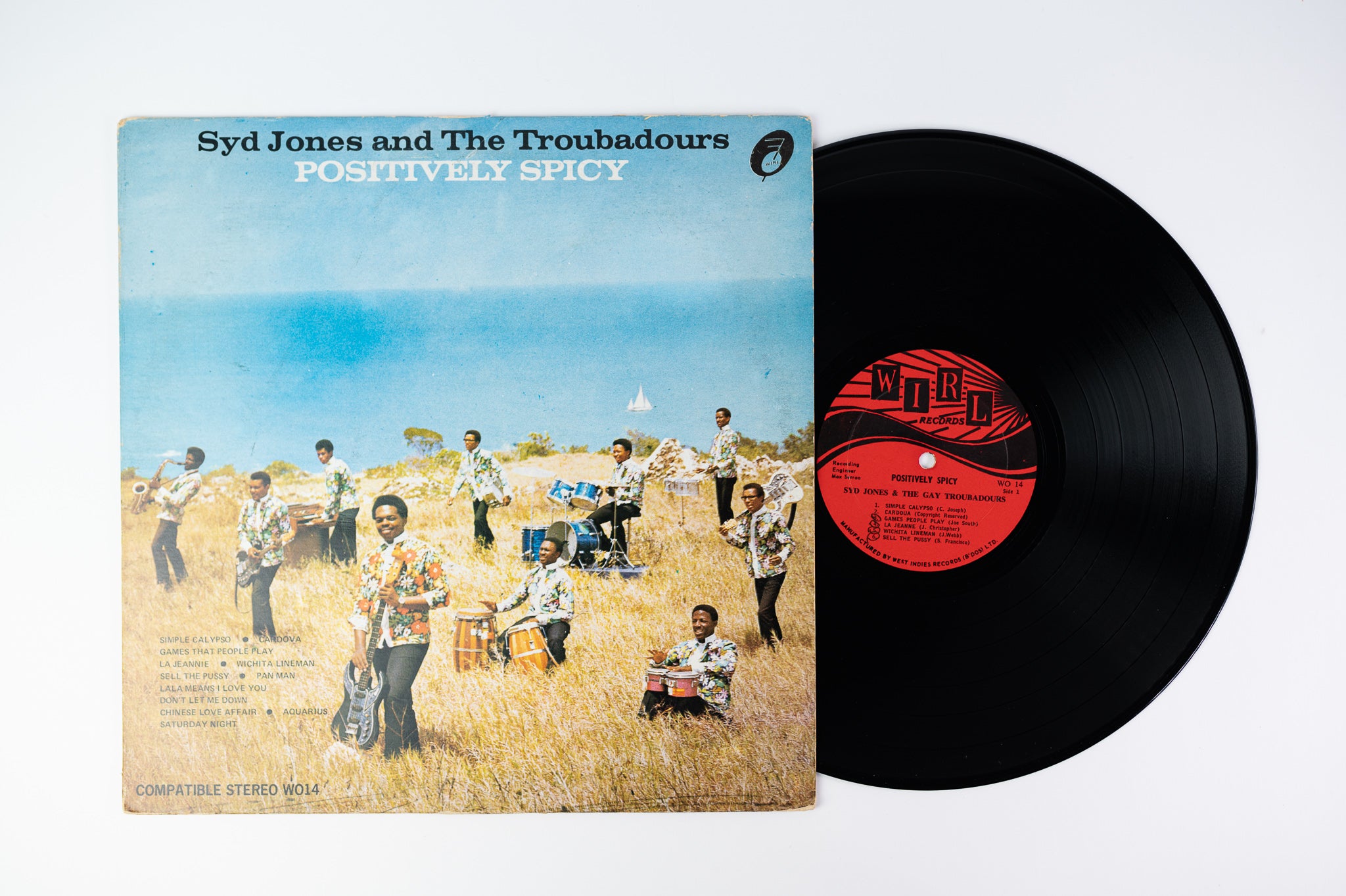 Syd Jones And The Troubadours - Positively Spicy on Wirl