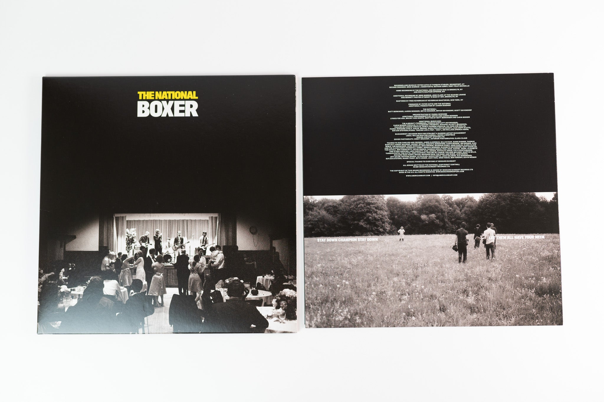 The National - Boxer on Vinyl Me Please Gray With Clear Vinyl 7" Reissue