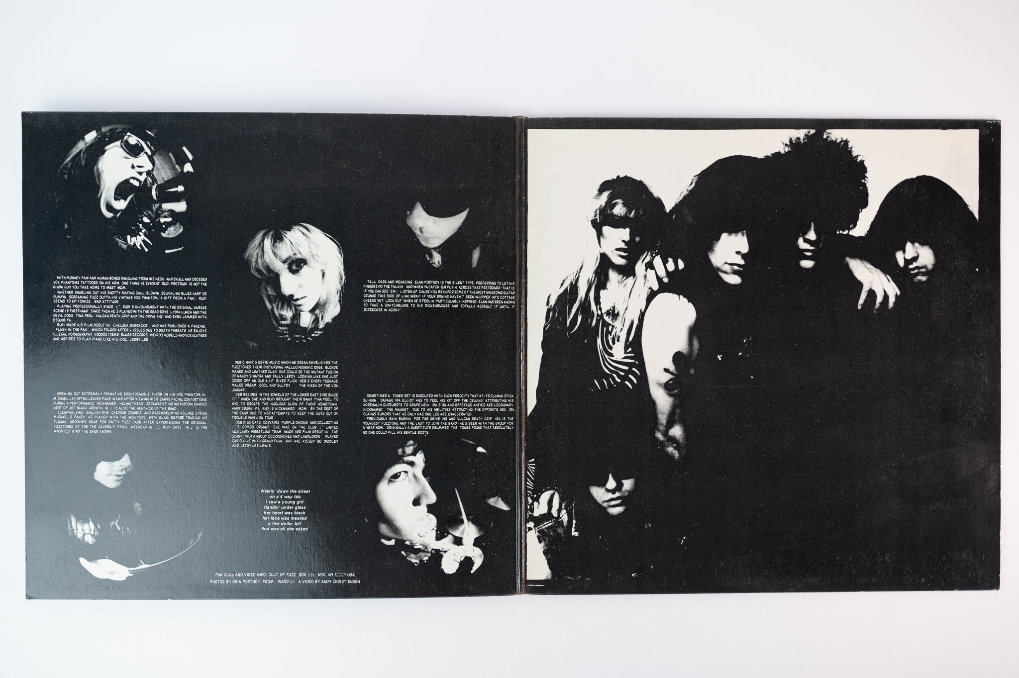 The Fuzztones - Lysergic Emanations on Pink Dust