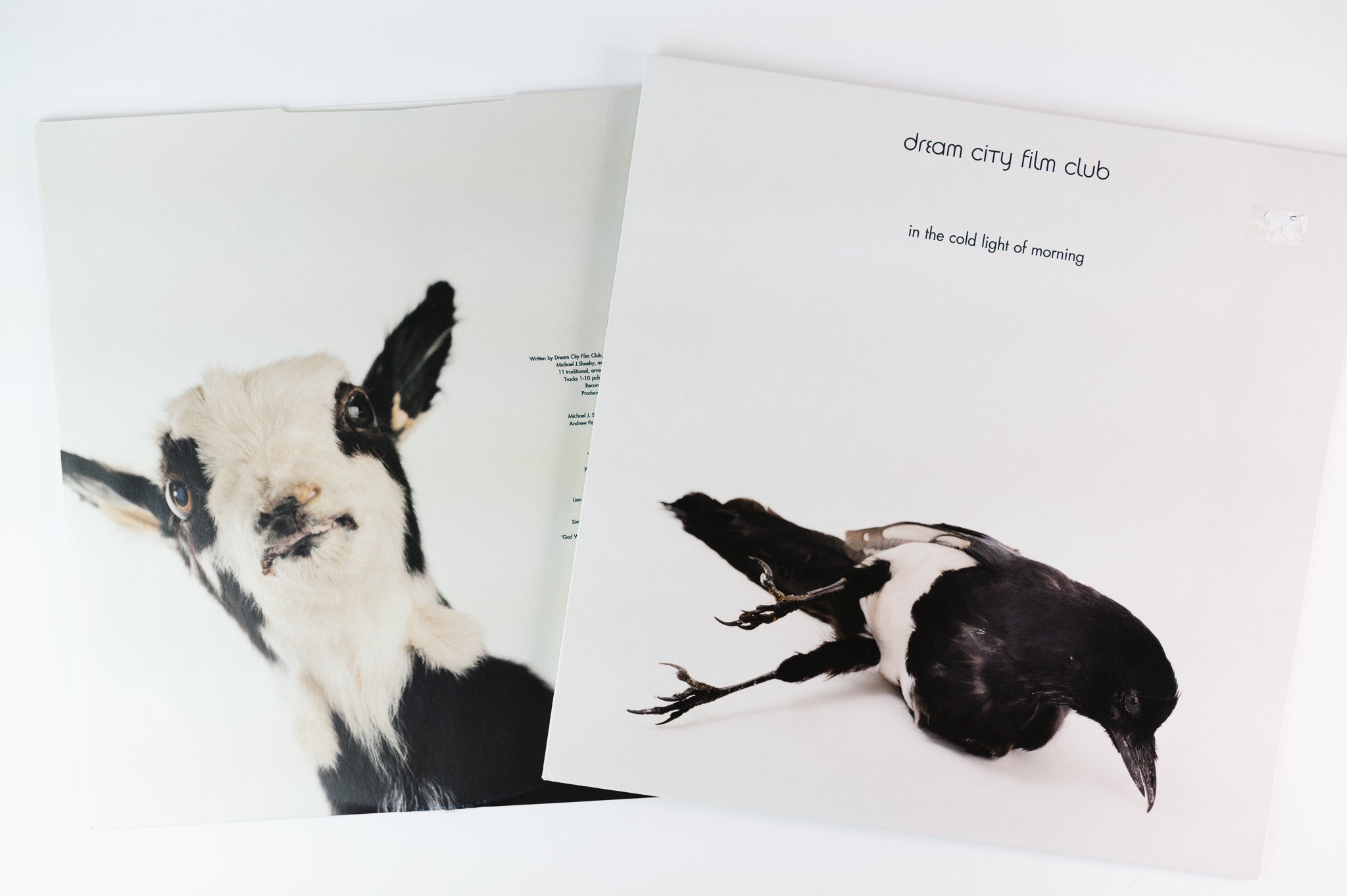 Dream City Film Club - In The Cold Light Of Morning on Beggars Banquet UK Pressing