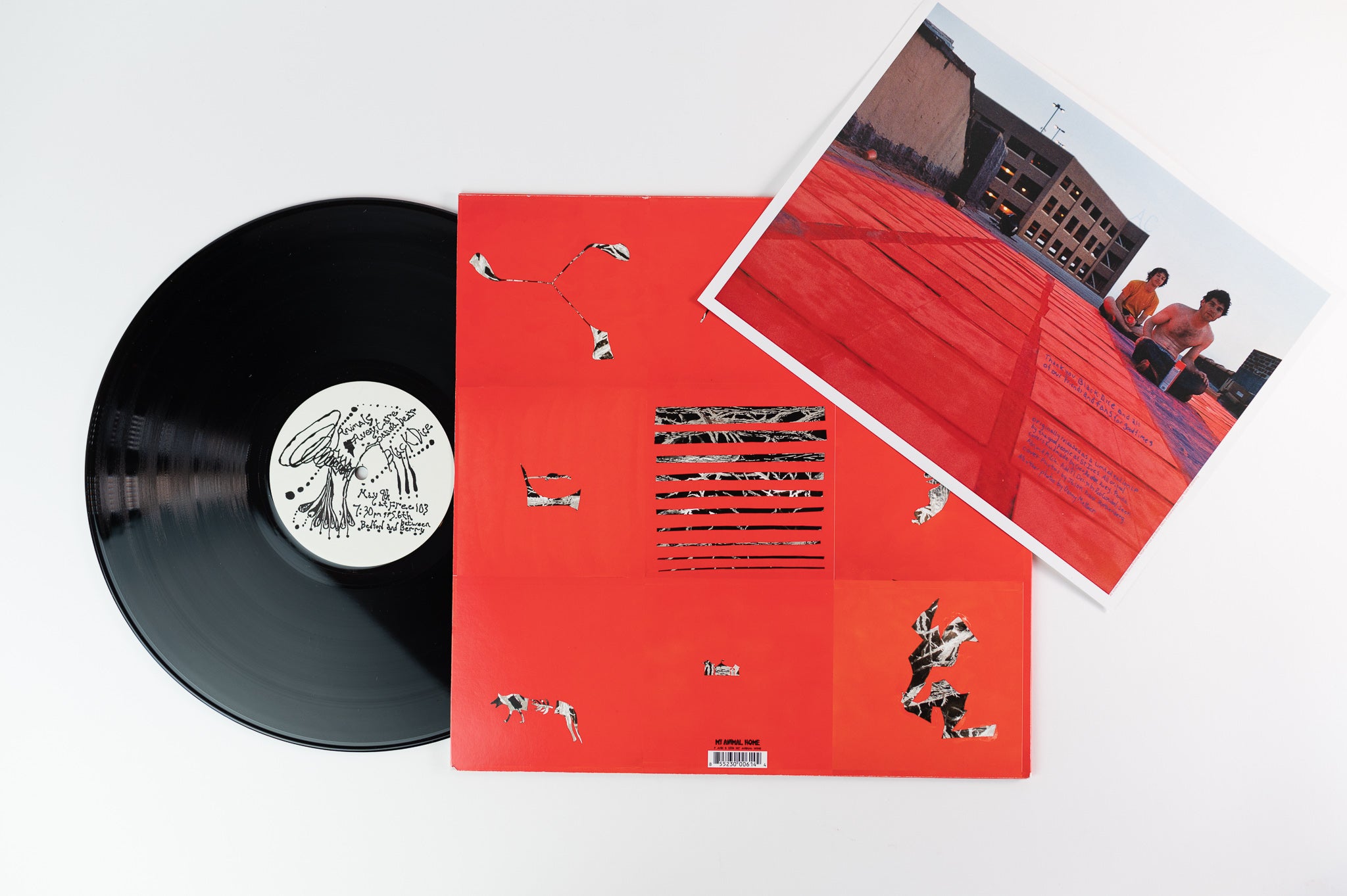 Animal Collective - Hollinndagain on My Animal Home Reissue