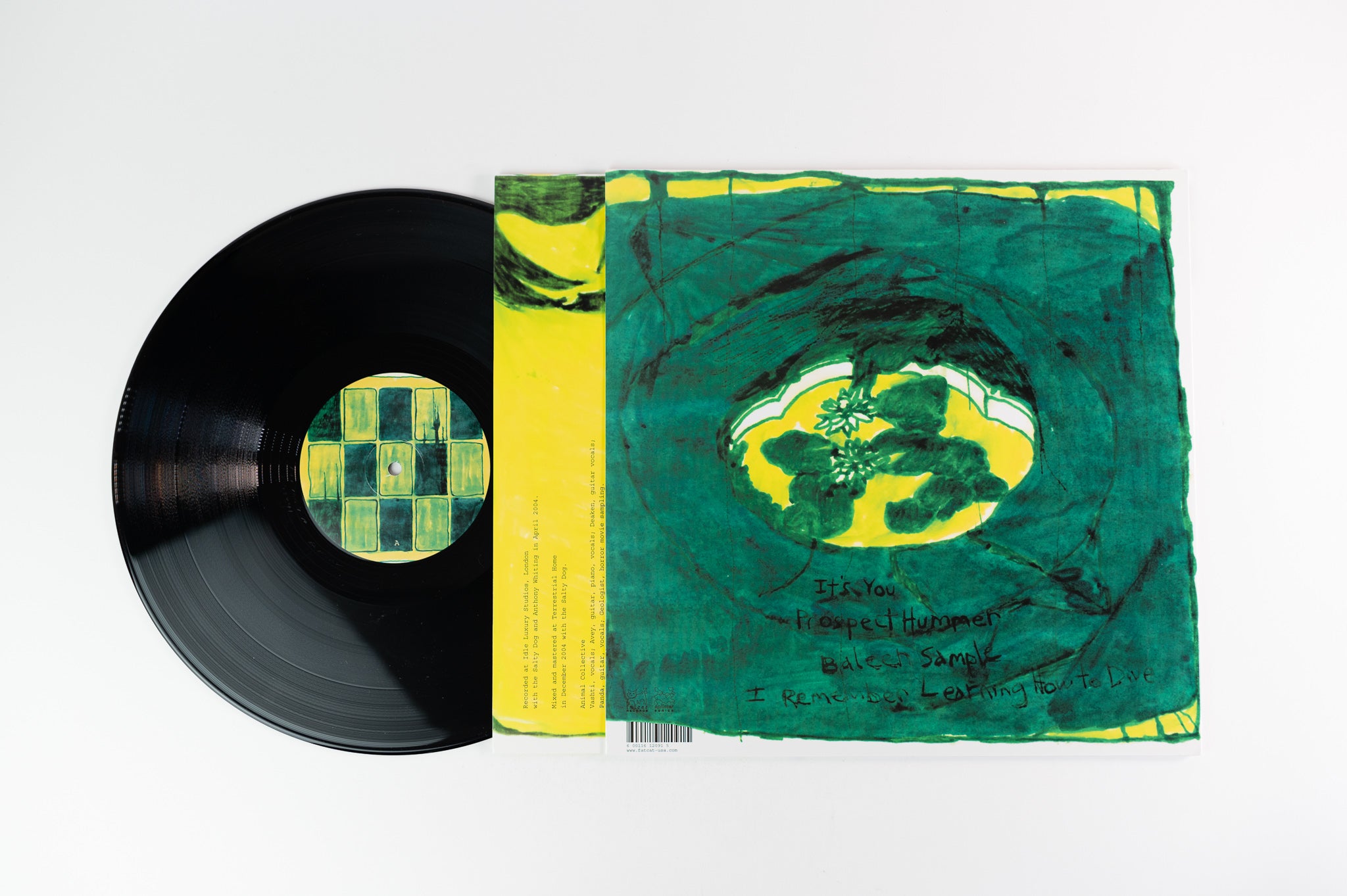 Animal Collective - Prospect Hummer on FatCat Records