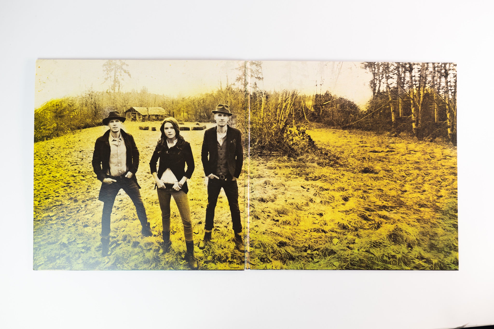 Brandi Carlile - Bear Creek on Columbia
