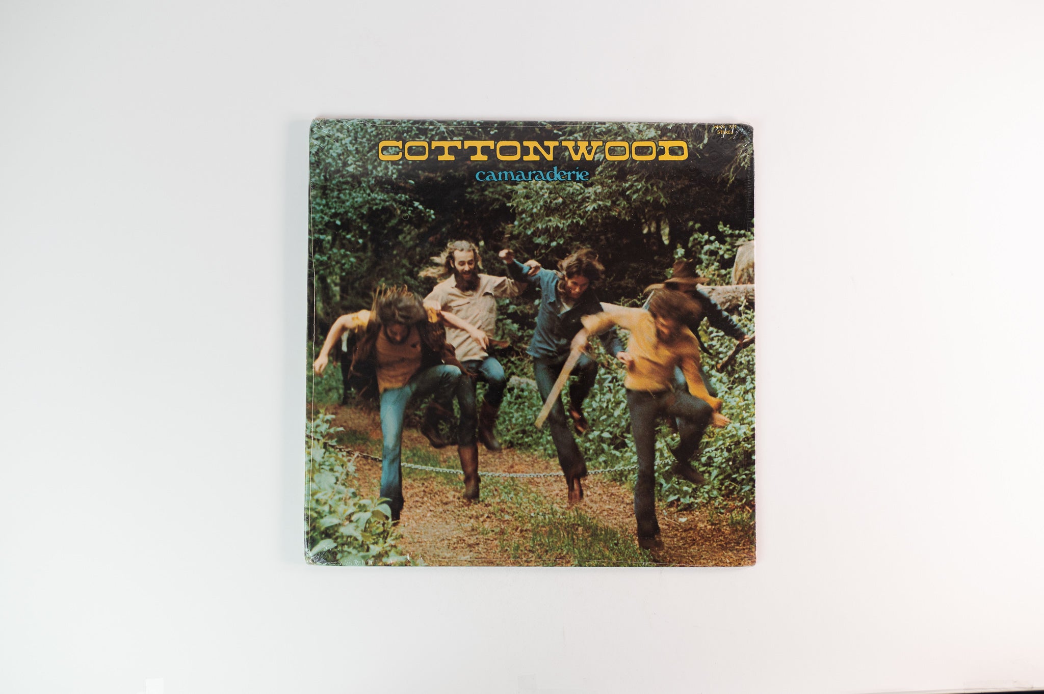 Cottonwood - Camaraderie on ABC Records - Sealed