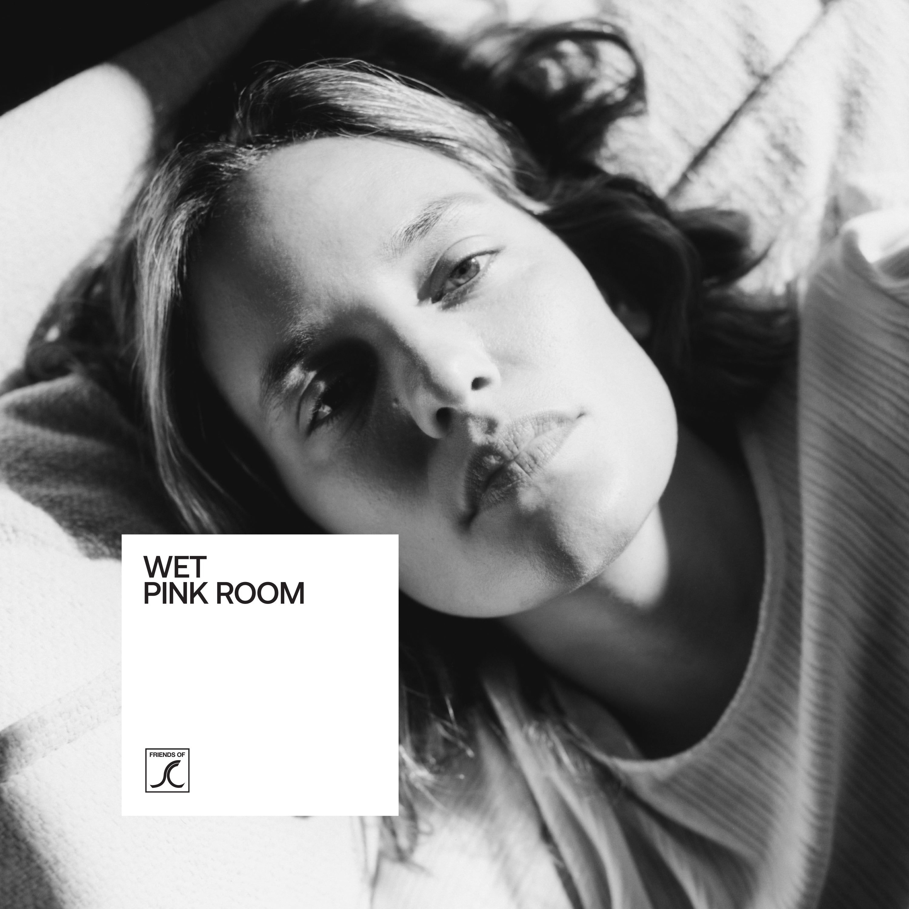 Wet - Pink Room [Pink Glass Translucent Vinyl] [12"]