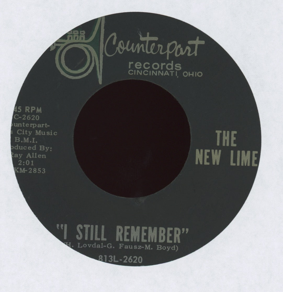 The New Lime - Ain't Got No Soul on Counterpart
