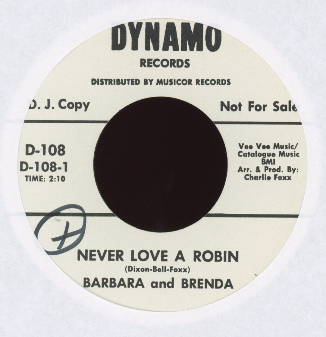Barbara And Brenda - Never Love A Robin on Dynamo Promo