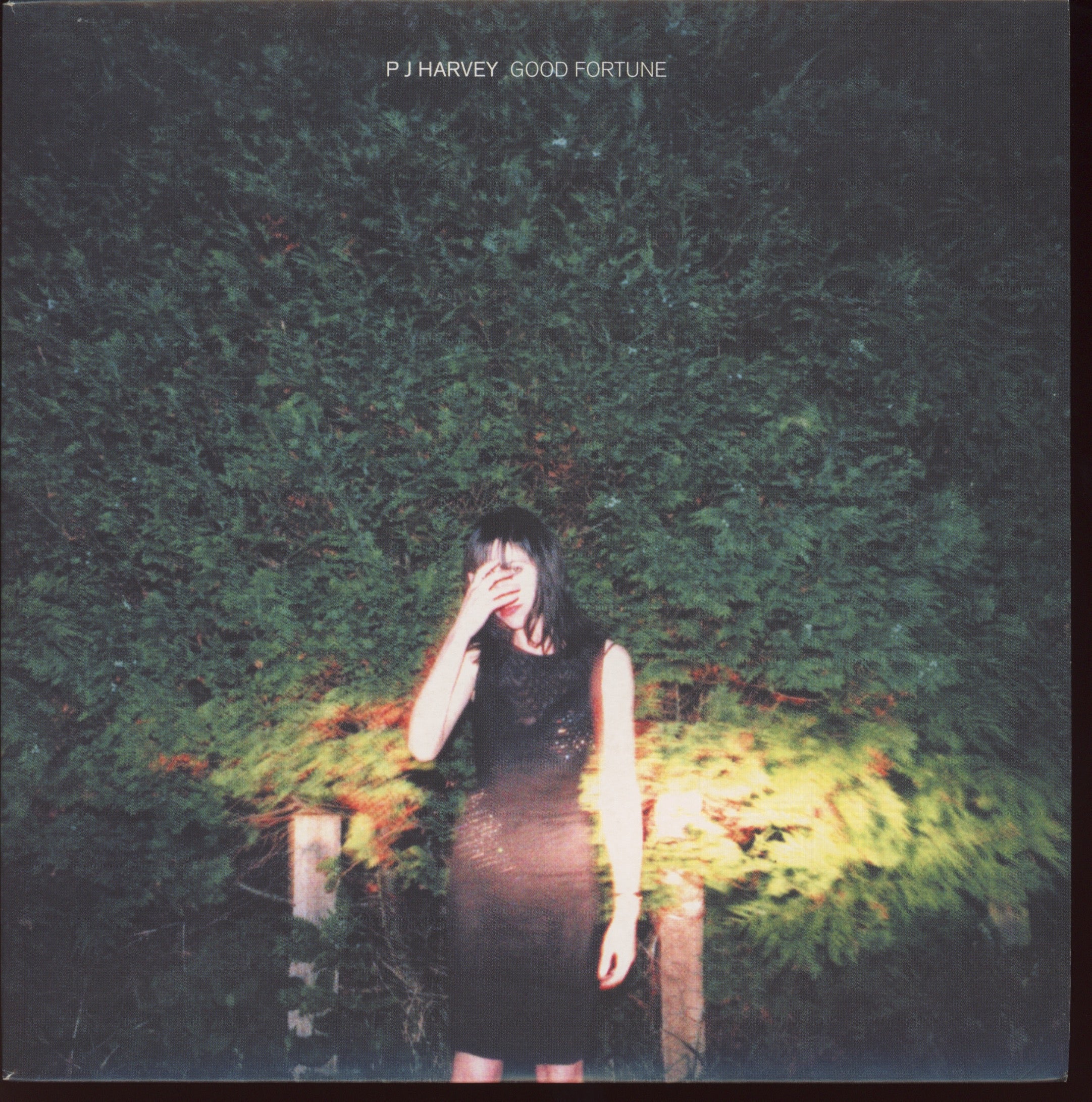 PJ Harvey - Good Fortune on Island
