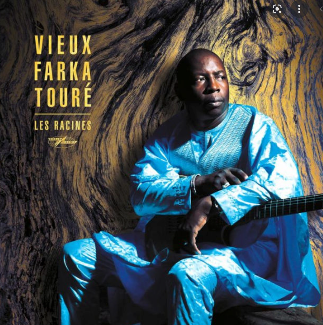 Les Racines - Vieux Toure Farka