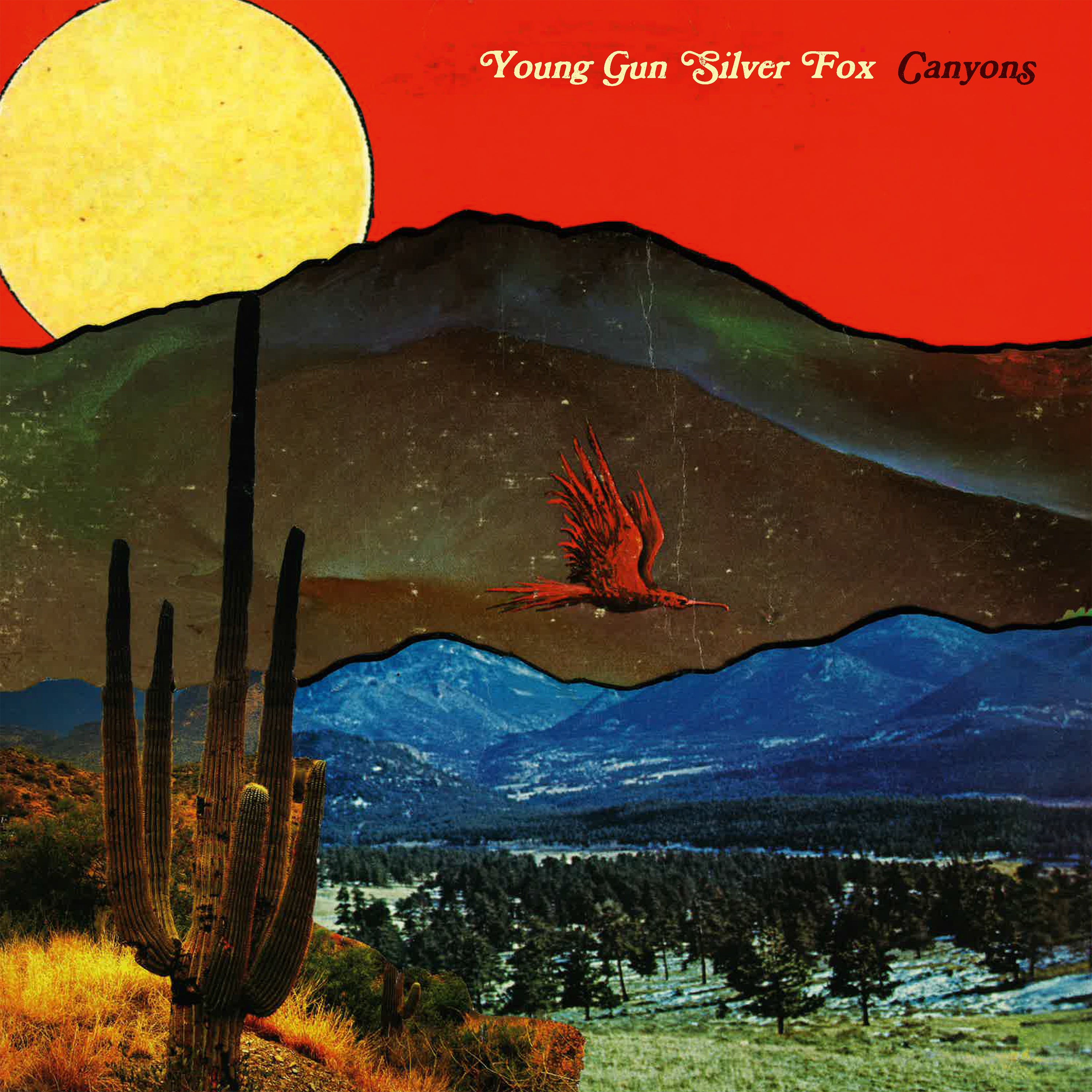 Young Gun Silver Fox - Canyons [Black Vinyl]