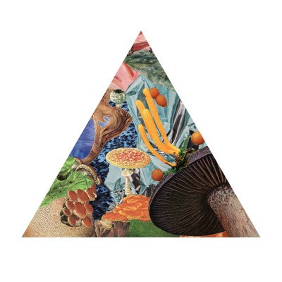 Modest Mouse - Poison The Well [Triangular Mint Green Vinyl]
