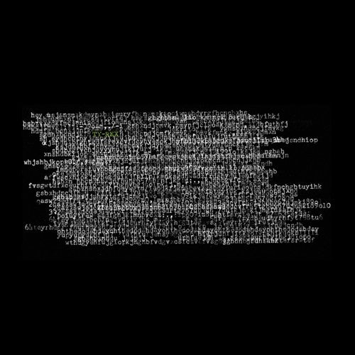 Ty Segall - Ty Rex