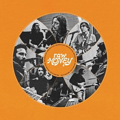 Drugdealer - Raw Honey [Gold Vinyl]