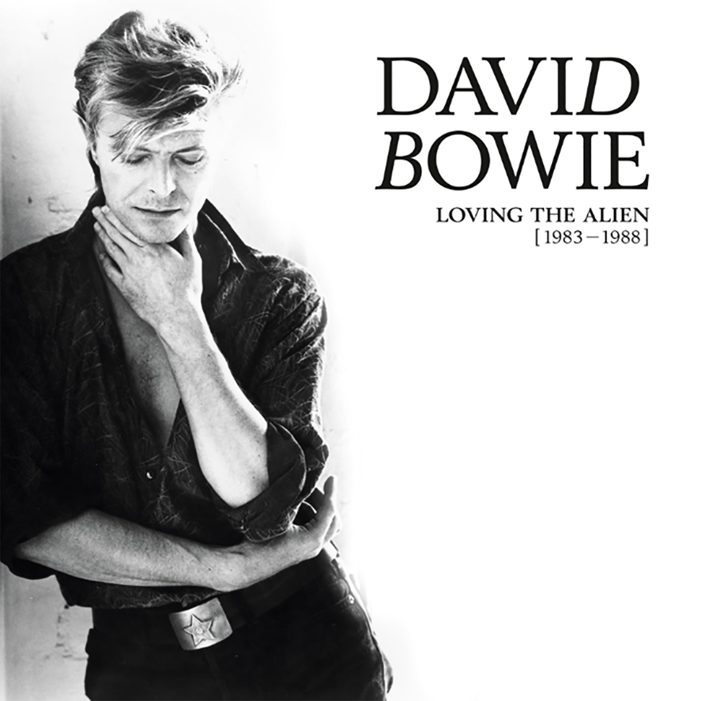 David Bowie - Loving The Alien [1983 - 1988] [15LP Box Set]